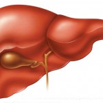 Esteroides anabolizantes, função hepática e análise sanguínea de AST e ALT